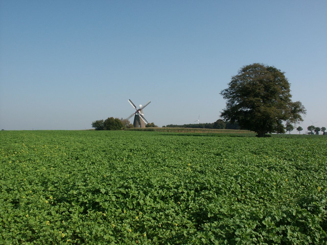 Vereinigte Kreishandwerkerschaft Düren-Euskirchen-Heinsberg